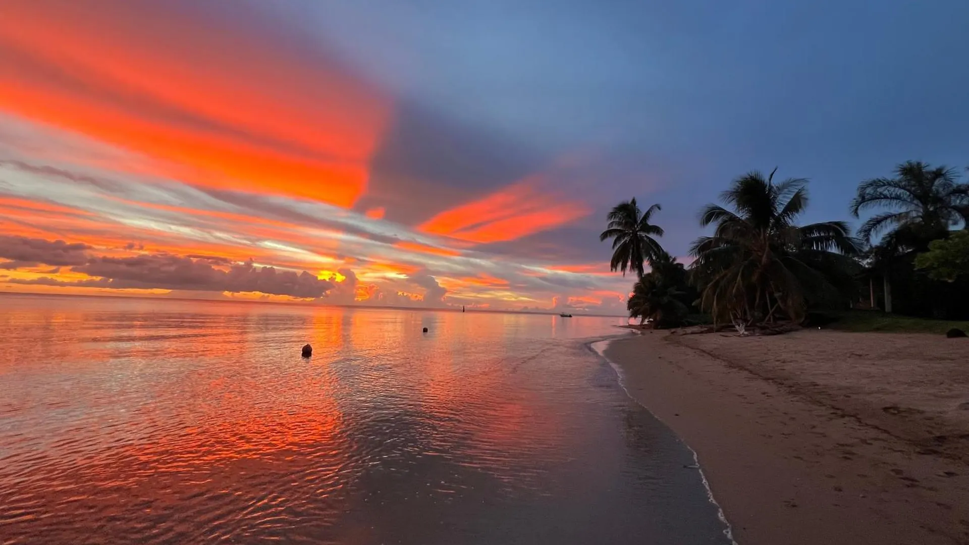 Moorea Dolphin Lodge
