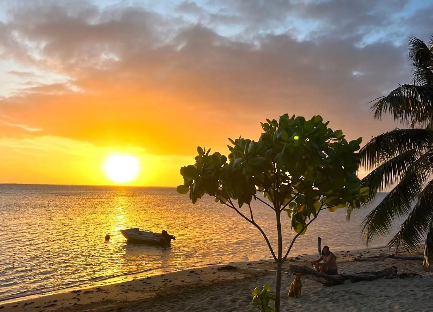 Moorea Dolphin Lodge Casa vacanze